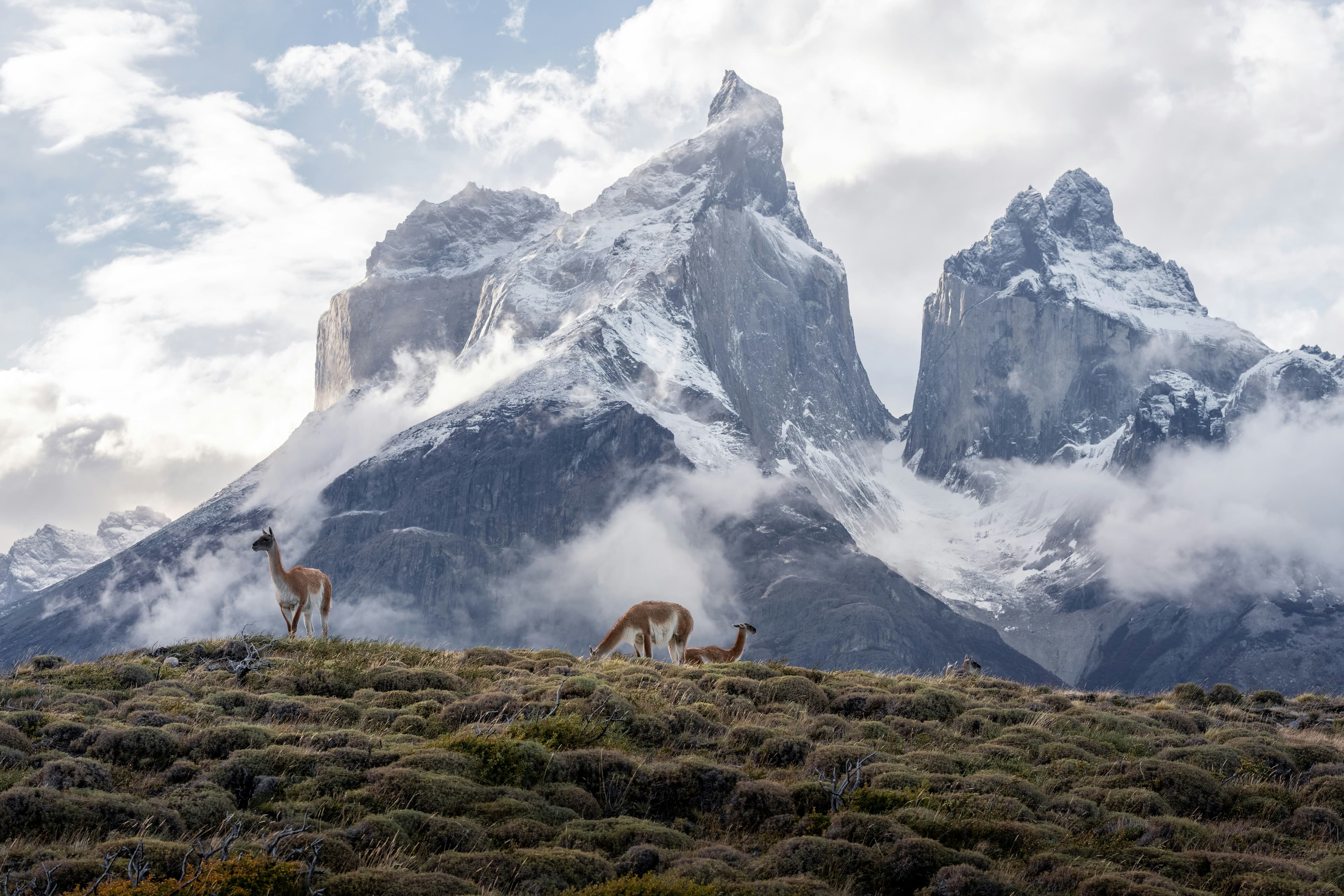 Mount Fitz Roy above the valley